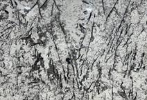 Alpinus