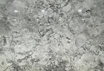 Calacatta Super White